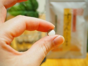 ようやく見つけた「すっぽんスリ
