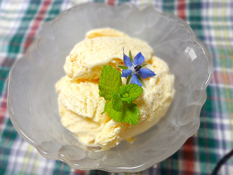野菜ジュースのアイスクリーム